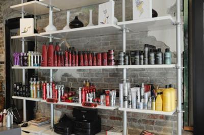 Professional Hair Products, Redken, Tigi, Goldwell, Osis