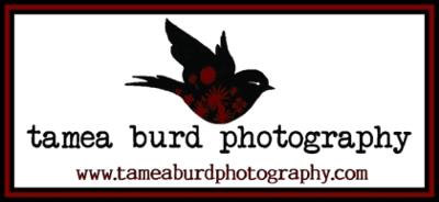 Tamea Burd Photography