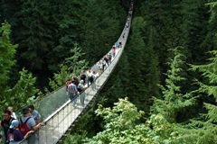 capilano suspension bridge, capilano bridge, bridges in vancouver, vancouver attractions, vancouver