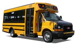 Custom School Buses
