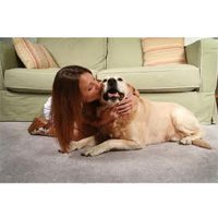 pet odour and stain removal