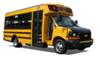 Custom School Buses